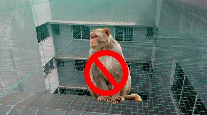 Monkey Net installed on a residential balcony